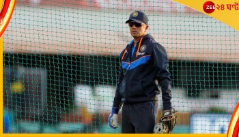 Rahul Dravid, Ross Taylor: 'বনে প্রায় ৪ হাজার বাঘ আছে, তবে রাহুল দ্রাবিড় একটাই'