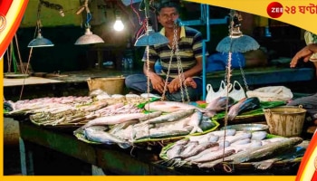 সুখবর সঙ্গে নিয়েই এলেন হাসিনা, আসছে টন টন পদ্মার ইলিশ 