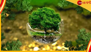 World Environmental Health Day: দূষণ নিয়ন্ত্রণ করে প্রকৃতিকে বিশুদ্ধ রাখলে মানবদেহও থাকবে সুস্থ ও নীরোগ... 