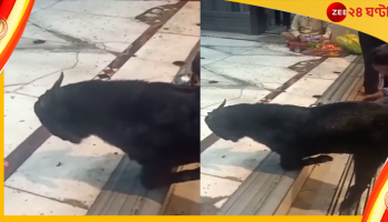 Kanpur : আরতি চলছে, মন্দিরে মাথা ঠুকছে ভক্ত ছাগল! দেখেছেন?