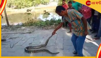 Malbazar: বাঁশঝাড়ে উঠে বসে আছে দীর্ঘ এক অজগর! দেখে চমকে উঠলেন এলাকাবাসী...