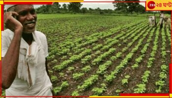 PMKSY: পিএম কিসান যোজনায় বড় আপডেট, পরবর্তী কিস্তি পাবেন তো? দেখে নিন স্টেটাস