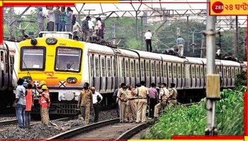 Man Electrocuted on Train Roof: বাঁদর জুতো নিয়ে উঠে পড়ল ট্রেনের ছাদে, আনতে গিয়ে মর্মান্তিক পরিণতি যুবকের 