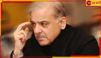 SCO Meeting: ভারতে আসছেন পাক প্রধানমন্ত্রী! গোয়ায় এসসিও বৈঠকের আমন্ত্রন শরিফকে?