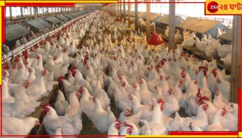 Pakistan Crisis: পাশেই পাকসেনার হেডকোয়ার্টার, এদিকে অস্ত্র হাতে ১২ জন পোলট্রি ফার্মে! কেন?