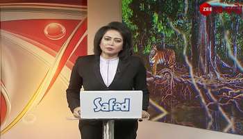 VC Says how many parts of the golden egg I can get