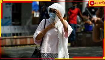 Global Warming Effect India: গ্লোবাল ওয়ার্মিংয়ের জের ভারতেও, শতাব্দীর উষ্ণতম ফেব্রুয়ারি দেখল দেশ