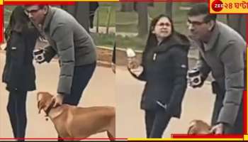 আইনের ঊর্ধ্বে নয় কেউ! নিয়ম ভেঙে পুলিসের জোর ধমক খেলেন প্রধানমন্ত্রী সুনাক