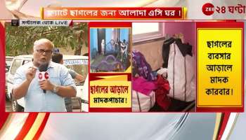 How the STF started the investigation the source came forward