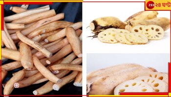Lotus Root Benefits: শরীর এবং ত্বককে চাঙ্গা রাখার মহৌষধি পদ্মমূল! জেনে নিন, পদ্মশিকড়ের ৪ উপকারিতা...
