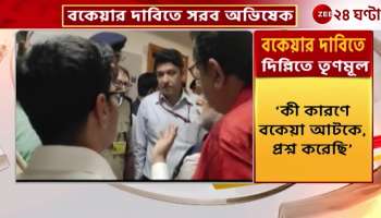 Trinamool MPs submit memorandum to Rural Development Ministry led by Abhishek