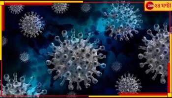 Coronavirus Cases: আর ভয় নেই, করোনা ভাইরাসের উত্তর এবার বিজ্ঞানীদের মুঠোয়!