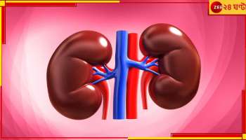 Kidney Ailment: ডায়াবিটিস বাড়ছে কমবয়সীদের মধ্যেও, কীভাবে ঠিক রাখবেন আপনার কিডনি