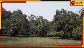 Cyclone Mocha | Mango Sell: ধেয়ে আসছে &#039;মোচা&#039;, ঝড়ের আগেই আম-লিচু বিক্রিতে ব্যস্ত চাষিরা
