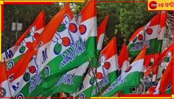 TMC: শিয়রে পঞ্চায়েত ভোট, সাগরদিঘিতে তৃণমূলের সংগঠনে রদবদল.... 