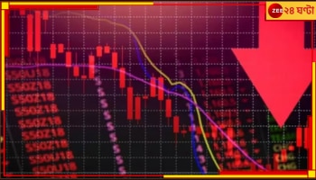 Share Market: এক বছরে এলআইসি-র ক্ষতি প্রায় আড়াই লক্ষ কোটি, সংকট ঘনাচ্ছে বাজারে!