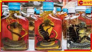 Snake Wine: একাধিক দেশে অত্যন্ত জনপ্রিয় &#039;স্নেক ওয়াইন&#039;, এটি খাওয়া কি স্বাস্থ্যকর? 