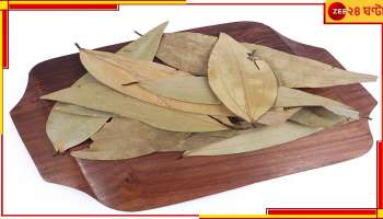 Benefits Of Bay Leaf: শুধু ফোড়ন নয়, একাধিক সমস্যা দূর করতে চ্যাম্পিয়ন তেজপাতা