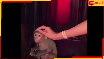 Exclusive: &#039;সার্কাস পার্টি&#039;, নাইট ক্লাবে শেকলবন্দি বাঁদর! ভাইরাল ভিডিয়ো