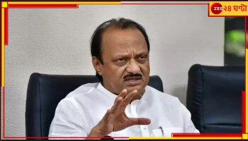 Maharashtra Politics: অবশেষে শেষ হল দফতর বণ্টন, দেখে নিন কে পেলেন কোন দায়িত্ব