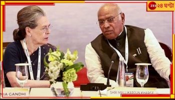 Opposition Meeting: 'আমরা ক্ষমতা বা প্রধানমন্ত্রী পদে আগ্রহী নই', স্পষ্ট বার্তা কংগ্রেসের