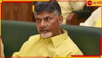 Chandrababu Naidu: মিলল না জামিন, ১৪ দিনের জেল হেফাজতে এন চন্দ্রবাবু নাইডু 