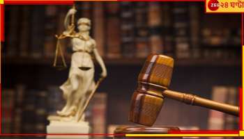 Denial of Sex and Cruelty: যৌন সম্পর্কে স্ত্রী-র অসম্মতি বৈবাহিক হিংসা: হাইকোর্ট