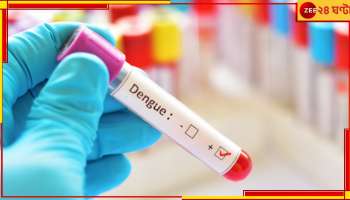 Dengue: দক্ষিণ দমদম-ঠাকুরপুকুরে ফের মৃত্যু, ডেঙ্গি নিয়ে জনস্বার্থ মামলা হাইকোর্টে!