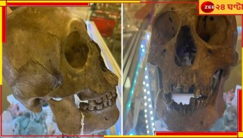 Halloween Shop: দোকানে বিক্রি হচ্ছে মানুষের খুলি! জেনে নিন এর অজানা রহস্য