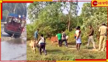 Cow Smuggling: ভিনরাজ্য থেকে সমুদ্রপথে আনা হয়েছিল ট্রলার বোঝাই গোরু, হাতনাতে ধরে ফেলল গ্রামবাসীরা