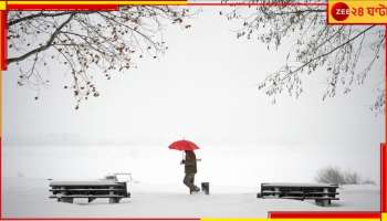 Europe: ঠান্ডায় ঠক ঠক করে কাঁপছে গোটা দেশ! তুষারের নীচে ঢাকা পড়েছে এলাকা...