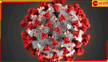 Covid in India: দেশে করোনার নতুন ভ্যারিয়েন্ট 'পিরোলা', তবে 'আতঙ্কের কিছু নেই'...