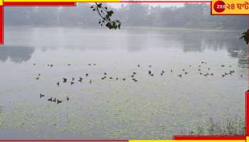 Cold Day: উষ্ণ বর্ষশেষে নতুন করে পড়া ঠান্ডায় জবুথবু সারা বাংলা...