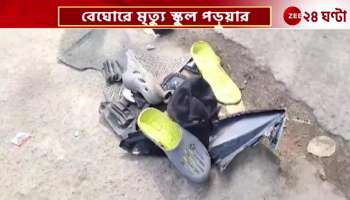 A school student died after being hit by a police prison van