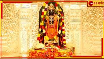 Ayodhya Ram Mandir: রামমন্দিরের গর্ভগৃহে বাঁদর! ভক্তরা বলছেন, হনুমানজি-ই এসেছেন...