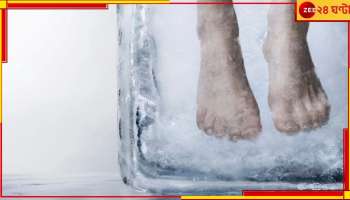 New York: ফ্রিজ খুলতেই কাটা মুন্ডু-হাত-পা! মানুষখেকো সন্দেহে গ্রেফতার মহিলা...