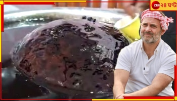 Rahul Gandhi: বহরমপুরে আসছেন রাহুল, পেল্লাই সাইজের ছানাবড়া খাইয়ে হ্যাটট্রিক করতে চান এই মিষ্টি ব্যবসায়ী