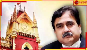 Justice Abhijit Ganguly: 'তখন মা একে সরাও বলে দক্ষিণেশ্বরে পুজো, এবারও অনেকে কালীঘাটে গিয়ে পুজা দিয়েছে!'