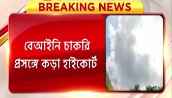 Strict High Court regarding illegal employment the judges question