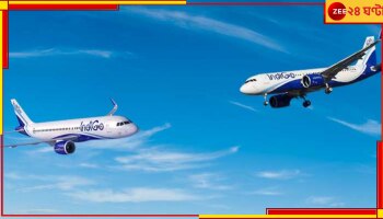IndiGo: মাঝ-আকাশে মুখোমুখি দুটি বিমান! তারপর....