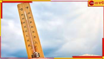 Weather Today: বৃষ্টি নেই, চড়বে পারদ, দোলের আগেই ঘাম ঝরানো গরমের পূর্বাভাস!