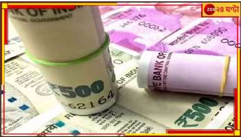 Dearness Allowance News: এবার ৪ শতাংশ! ভোটের মুখে ফের ডিএ বাড়ল সরকারি কর্মচারীদের...