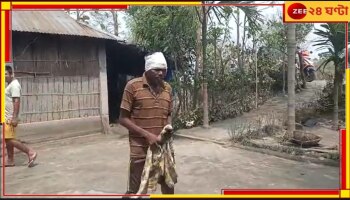 Nagrakata: চিতাবাঘের মাথায় ঘুষি ৫০-এর প্রৌঢ়ের, তারপর...