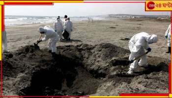 Bird Flu H5N1 Pandemic: মারণ হার ৫০ শতাংশ, কোভিডের চেয়েও ১০০ গুণ ভয়ংকর মহামারী আসছে....?