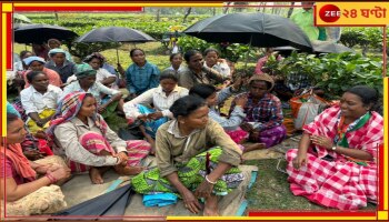 Lok Sabha Election 2024: ঈদের সকালে পান্ডুয়ায় রচনা, চাবাগানে প্রচারে বিরবাহা