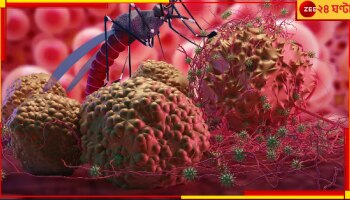 World Malaria Day: বিশ্ব ম্যালেরিয়া দিবসে জেনে নিন, কেন মারণ এই রোগটি বেশি ছড়ায়, কীভাবে এর প্রতিরোধ সম্ভব...