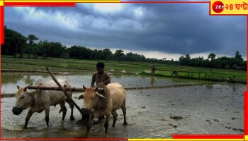 West Bengal Weather Update: চাতক-অপেক্ষার শেষ, ক`দিন পরেই বাংলা জুড়ে অঝোরধারা বৃষ্টি! জেনে নিন, ঠিক কবে থেকে...