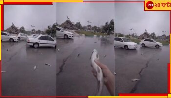 Shocking: যুদ্ধের আবহে বোমা নয়, ইরানে আকাশ থেকে পড়ছে মাছ! দেশ জুড়ে তোলপাড়...