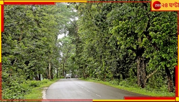 Mal Bazar: দীর্ঘদিন ধরে বন্ধ মালবাজারের জৈবসার তৈরির কারখানা! আগাছার মাঝেই চলছে নেশার অসামাজিক ঠেক...