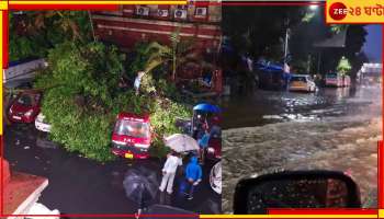 Cyclone Remal Latest Update: রিমাল কাড়ল প্রাণ কলকাতাতেও! আলিপুরে &#039;রেকর্ড&#039; ১৪৬ মিলিমিটার বৃষ্টি...